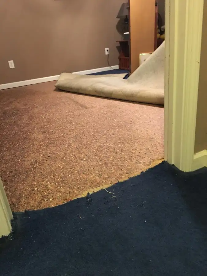 Carpet pad removal revealing water damage during Water Mitigation Services in Weymouth Town