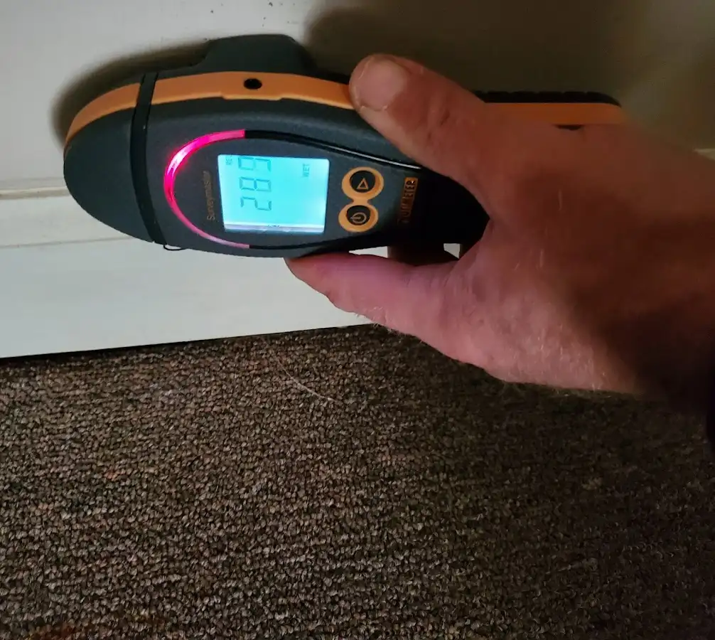 Moisture detection at baseboard during Sewage Cleanup & Sanitation in Weymouth Town